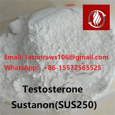 보디빌딩을 위한 테스토스테론 Sustanon 250 분말